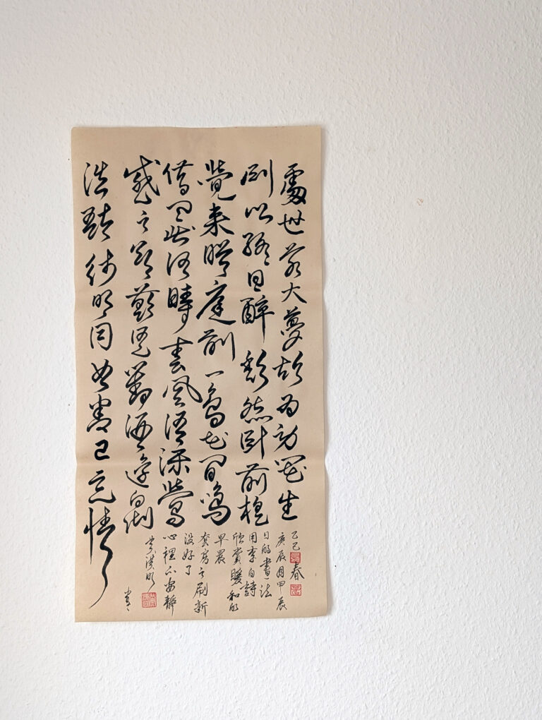 PXL_20250405_141446467
